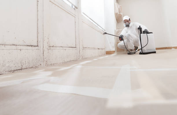 24/7 Emergency Commercial Mold Remediation experts in Pacific, WA
